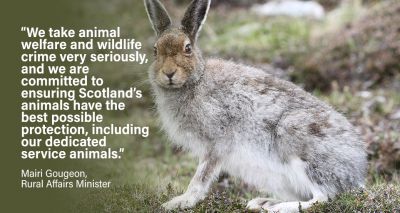 Scotland introduces harsher penalties for animal and wildlife crime